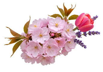 Mixed Flower Arrangement of Cherry Blossom and Tulip on Transparent