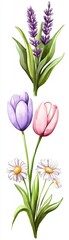 Fototapeta premium Watercolor Spring Flowers Bouquet - Lavender, Tulips, and Daisies