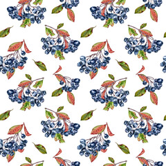 Chokeberry hand painted seamless pattern of dark aronia berries on branches isolated. Botanical repeated texture for ceramic design, clothing, greeting cards, and seasonal digital backgrounds.