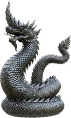 black dragon on white