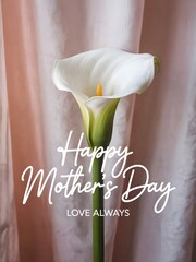 mothers day design with lily bouquet 