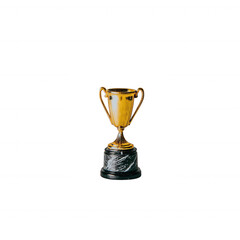 Fototapeta premium A shiny golden trophy with a black base, symbolizing victory and achievement, isolated on a white background for versatile use in awards and sports-themed projects.