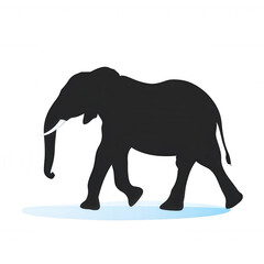 Obraz premium A silhouette of an elephant walking gracefully across a surface, representing strength and majesty in the animal kingdom.