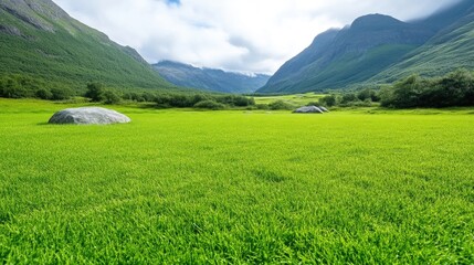 Fototapeta premium Lush green valley with mountains in the background. A vast expanse of vibrant, healthy grass stretches into the distance. Two large rocks are visible, adding texture to the scene.