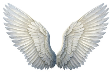 Obraz premium Realistic angel wings. White wing isolated. png transparency