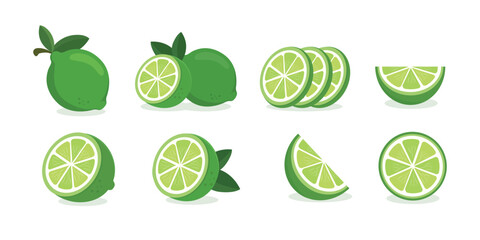 Lime vector. Set of green fresh lime icon. Lime fruits on white isolated. Lime slices collection isolated on white background