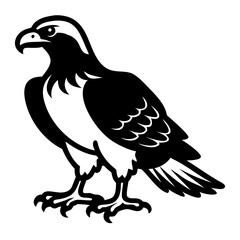 Fototapeta premium A regal depiction of an eagle, with an open, watchful gaze, captured in stark black and white, exuding strength, authority, and freedom.