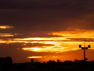 Sunrise, golden sunrise over a rural landscape in Brazil with trees in silhouettes and a bright sky on an autumn morning, natural light, selective focus.