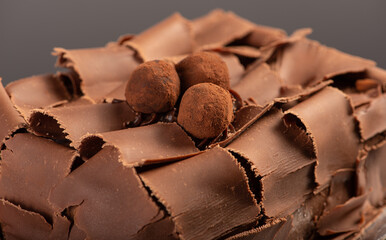 Chocolate cake, close-up of a chocolate cake decorated with rolled chocolate shavings and sprinkled cocoa truffles on a silver tray over a dark surface, selective focus.