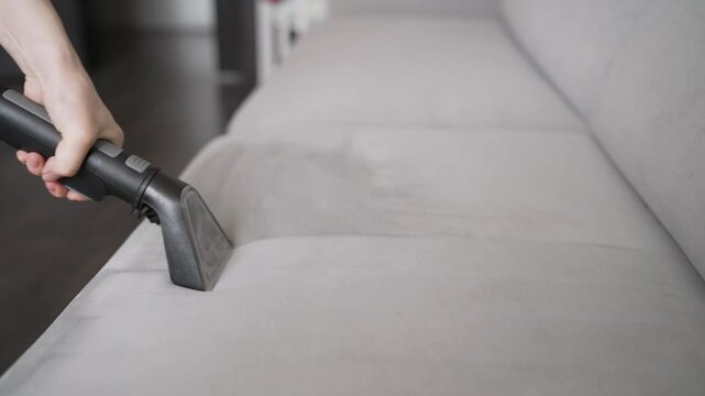 Professional cleaning service worker removing dirt and dust mites from sofa with upholstery vacuum cleaner