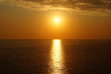 Fototapeta premium Seascape. Sunset or sunrise over water or sea or ocean, sunlight reflecting in water, birds flying. Sun setting over sea horizon