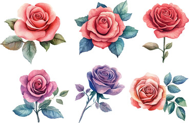 Hand-Drawn Watercolor Pink Rose Clipart