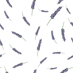 Lavender Botanical Seamless Pattern on Transparent Background