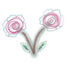 pink rose on white background sketch colours 