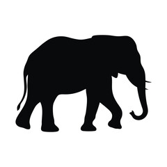Fototapeta premium Elephant silhouette vector illustration 