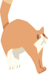 orange cat with cute pose