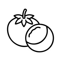 Tomato and coconut vector illustration icon fresh food healthy diet ingredient organic outline art design