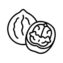 Illustration of walnut, nut, food, healthy, nutrition, organic, snack, shell, vegan, raw, natural