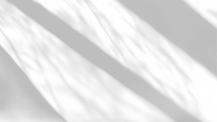 shadow overlay effects of realistic window and foliage leaves shadows isolated on transparent background,shadow for product presentation interior backdrop design,Summer wall abstract shadow overla