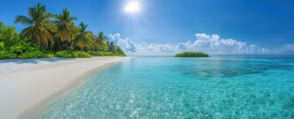 Fototapeta premium A beautiful tropical beach with palm trees and turquoise water