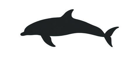 Fototapeta premium Black Dolphin Silhouette Illustration Isolated On Transparent Background