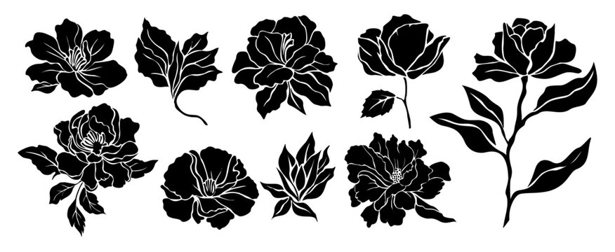Set of black silhouettes of decorative fresh blossoming peony with steam and leaves. Hand drawn outline flower icon. Vector monochrome illustrations isolated on transparent background.
