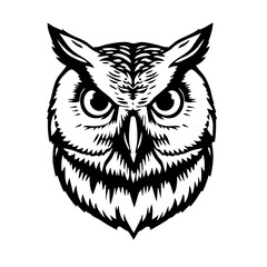 Obraz premium Owl face in stylized vector, minimal yet powerful, designed for logos or patches.