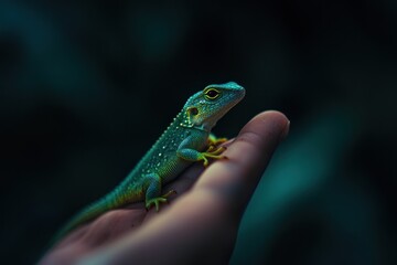 Fototapeta premium A colorful lizard resting gently on a human hands surface
