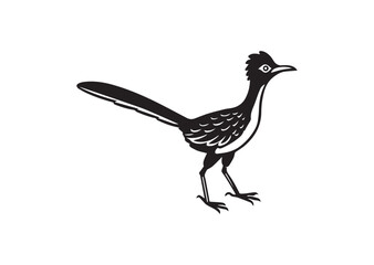 Fototapeta premium Roadrunner bird Silhouette vector