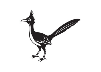 Obraz premium Roadrunner bird Silhouette vector