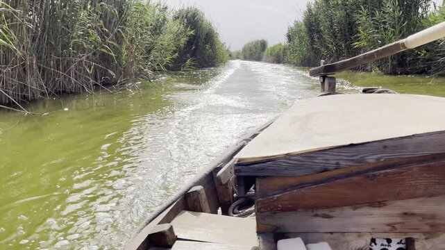 Paseo en barca tradicional de vela y madera por el lago de la albufera en Valencia. 