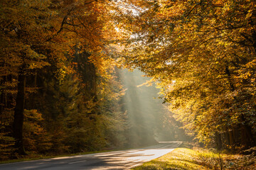 Lichtstrahl auf der Landstra&szlig;e im Herbst