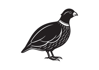 Fototapeta premium Bobwhite Quail Silhouette vector