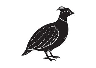 Fototapeta premium Bobwhite Quail Silhouette vector