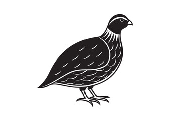 Obraz premium Bobwhite Quail Silhouette vector