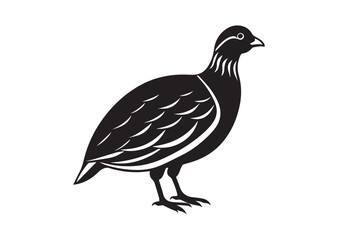 Fototapeta premium Bobwhite Quail Silhouette vector