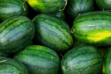 Green and sweet watermelons, freshly picked, piled up in a market in Pakse, Laos