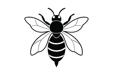 Fototapeta premium Silhouette of Ant, Set of Atn's cartoon of different shapes, Ant vector illustration, Collection of Hand Drawn Ant icons on white background.