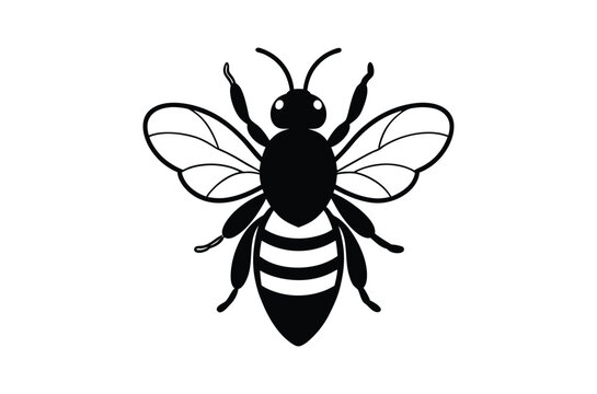 Silhouette of Ant, Set of Atn's cartoon  of different shapes,  Ant vector illustration, Collection of Hand Drawn Ant icons on white background.