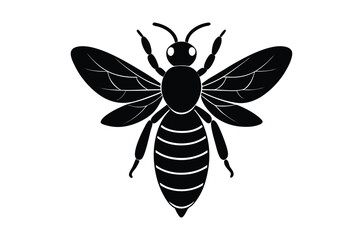 Fototapeta premium Silhouette of Ant, Set of Atn's cartoon of different shapes, Ant vector illustration, Collection of Hand Drawn Ant icons on white background.