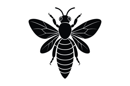 Silhouette of Ant, Set of Atn's cartoon  of different shapes,  Ant vector illustration, Collection of Hand Drawn Ant icons on white background.