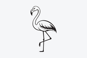flamingo bird illustration vector