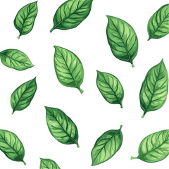 Green leaves pattern on black background nature design botanical illustration