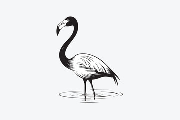 flamingo illustration vector