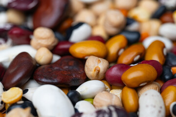 background of legumes