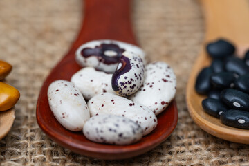 background of legumes