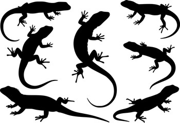 Naklejka premium Black silhouettes of lizards on a white background 