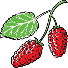 mulberry vector illustration