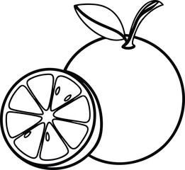 Ripe natural orange vector illustration