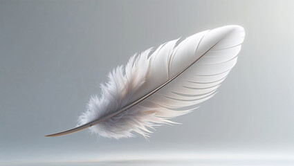 Obraz premium Delicate White Feather Floating Gracefully Against A Soft Grey Background